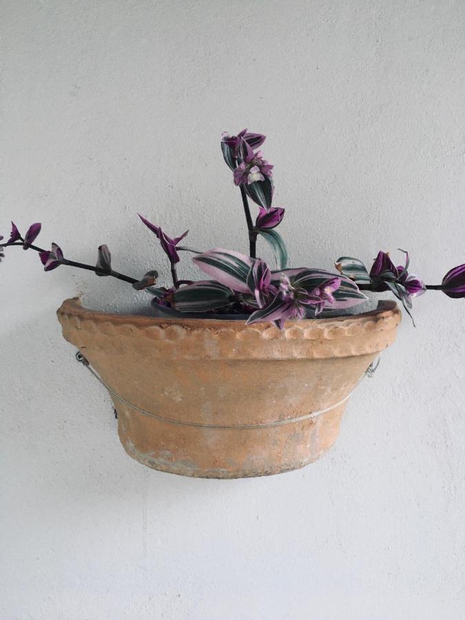 Wabi Sabi Apartman Katasztári Kültér fotó